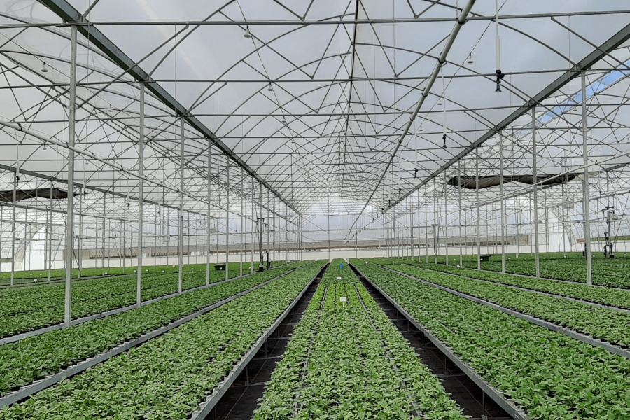 Modern Agri Sri Lanka Modern agricultural supplies and consulting for